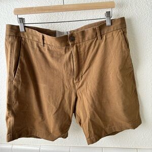 Men’s everlane shorts (sz35)